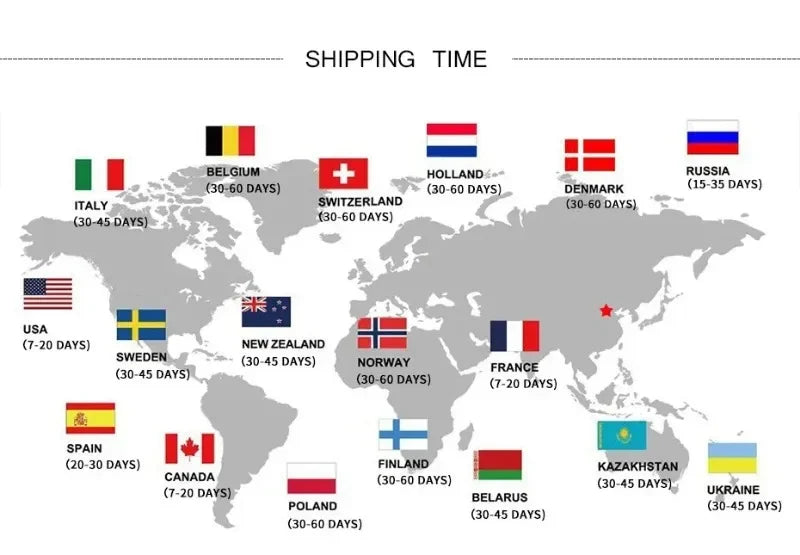 Igris Solo Leveling Tee